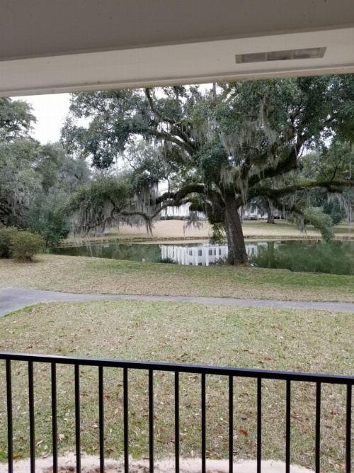 Greenwood Plantation B&B Inn image 17
