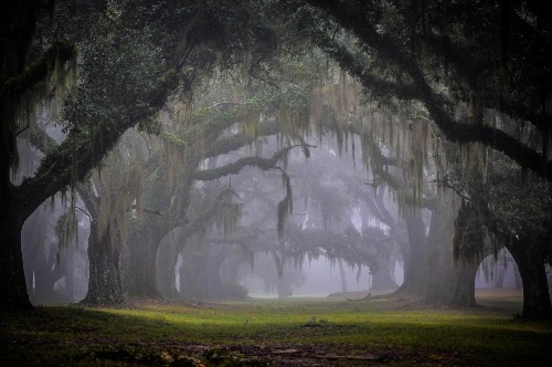 Greenwood Plantation B&B Inn image 40