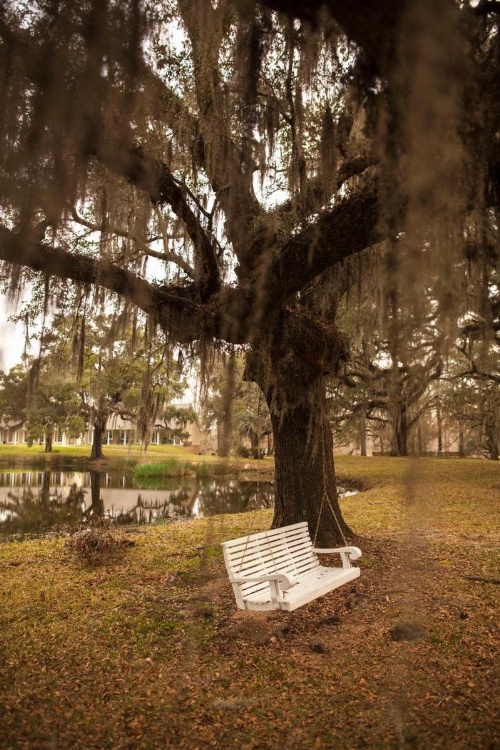 Greenwood Plantation B&B Inn image 41